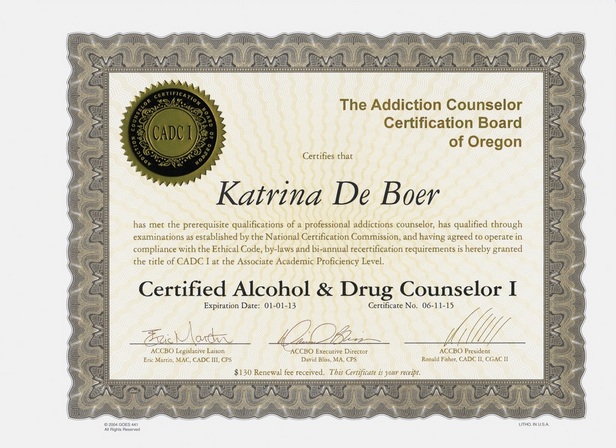 Professional Licenses Katrina de Boer, School Counselor